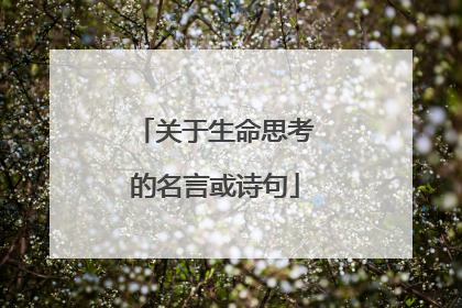 关于生命思考的名言或诗句
