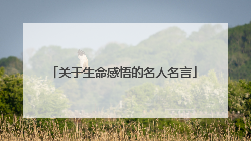 关于生命感悟的名人名言