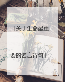 关于生命最重要的名言诗句