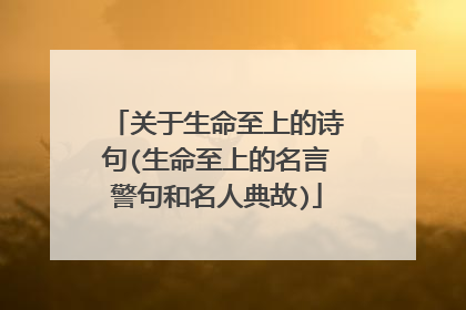 关于生命至上的诗句(生命至上的名言警句和名人典故)