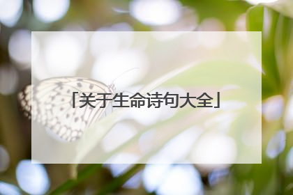 关于生命诗句大全