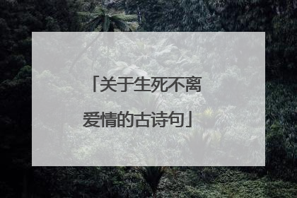 关于生死不离爱情的古诗句