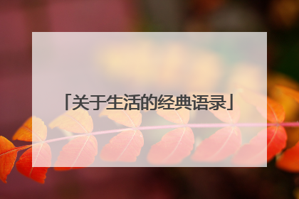 关于生活的经典语录