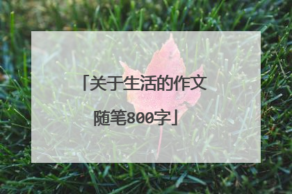 关于生活的作文随笔800字