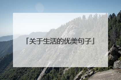 关于生活的优美句子