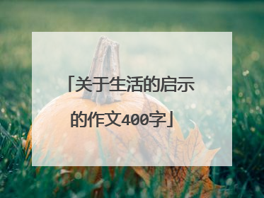 关于生活的启示的作文400字