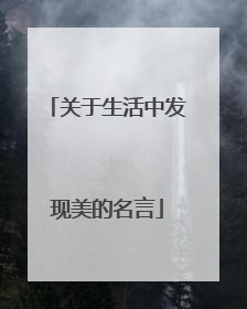 关于生活中发现美的名言