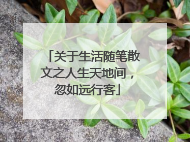 关于生活随笔散文之人生天地间，忽如远行客