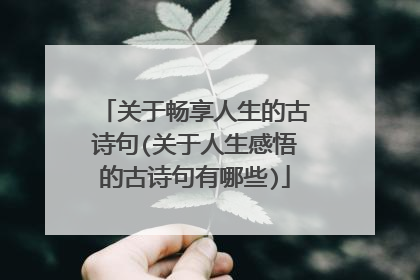 关于畅享人生的古诗句(关于人生感悟的古诗句有哪些)