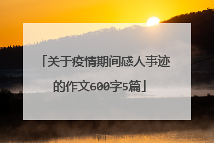 关于疫情期间感人事迹的作文600字5篇