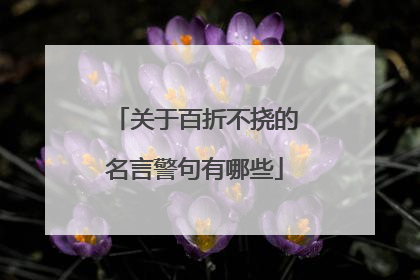 关于百折不挠的名言警句有哪些