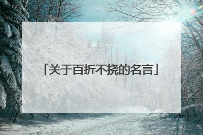 关于百折不挠的名言