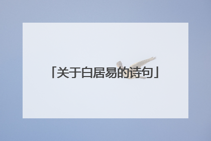 关于白居易的诗句