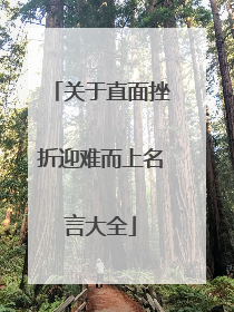 关于直面挫折迎难而上名言大全