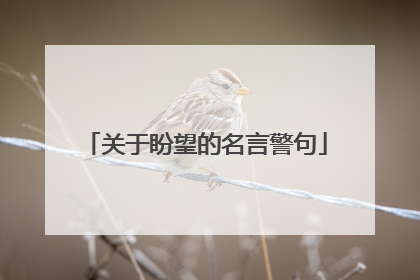 关于盼望的名言警句