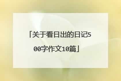 关于看日出的日记500字作文10篇