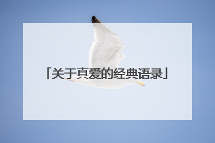 关于真爱的经典语录