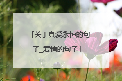 关于真爱永恒的句子_爱情的句子