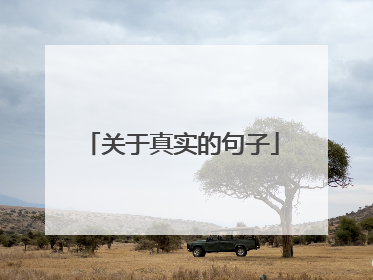 关于真实的句子