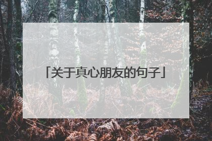 关于真心朋友的句子