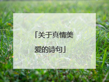 关于真情美爱的诗句