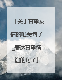 关于真挚友情的唯美句子_表达真挚情谊的句子