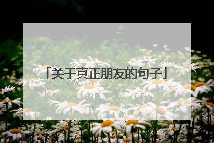 关于真正朋友的句子