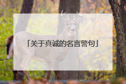 关于真诚的名言警句