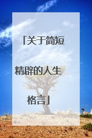 关于简短精辟的人生格言