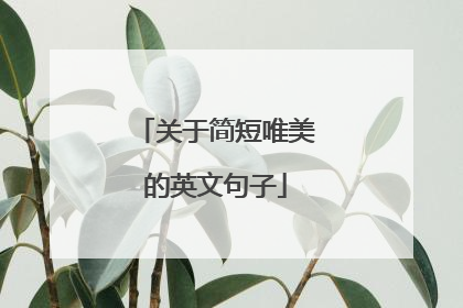 关于简短唯美的英文句子
