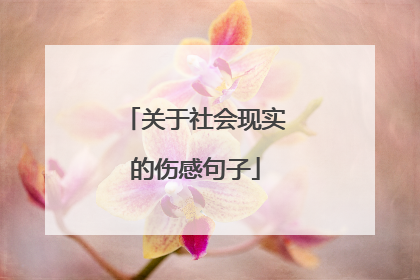 关于社会现实的伤感句子