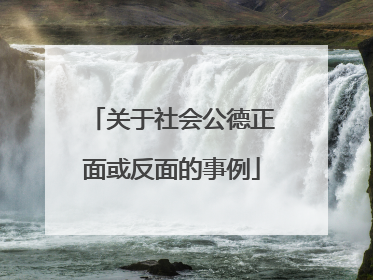 关于社会公德正面或反面的事例