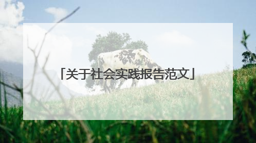 关于社会实践报告范文