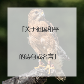 关于祖国和平的诗句或名言