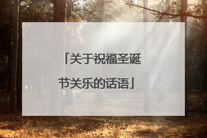 关于祝福圣诞节关乐的话语
