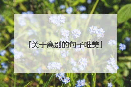 关于离别的句子唯美