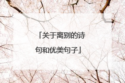 关于离别的诗句和优美句子