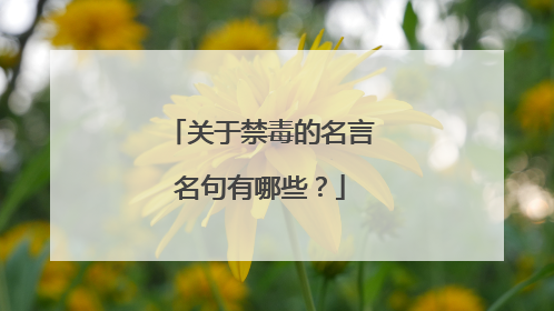 关于禁毒的名言名句有哪些？