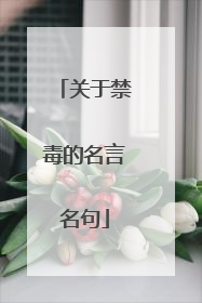 关于禁毒的名言名句