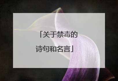 关于禁毒的诗句和名言