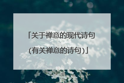 关于禅意的现代诗句(有关禅意的诗句)
