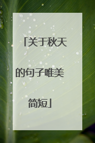 关于秋天的句子唯美简短