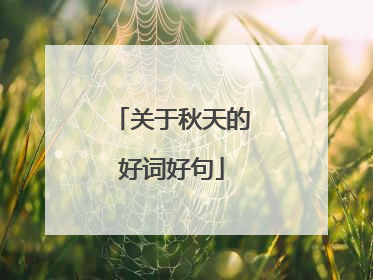 关于秋天的好词好句
