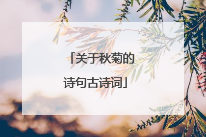 关于秋菊的诗句古诗词