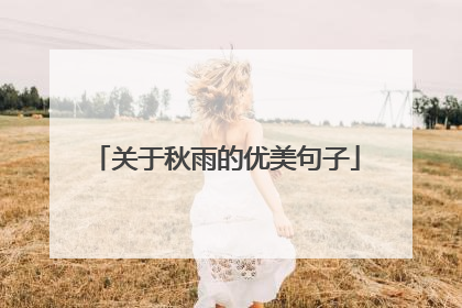 关于秋雨的优美句子