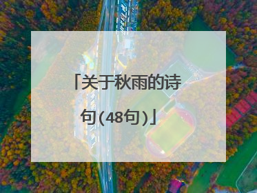 关于秋雨的诗句(48句)