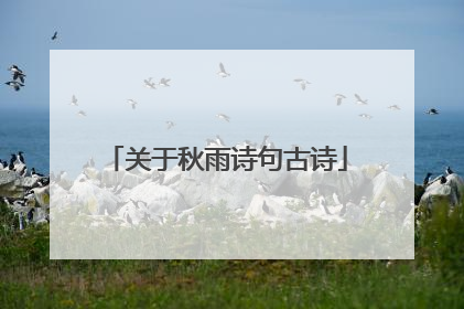 关于秋雨诗句古诗