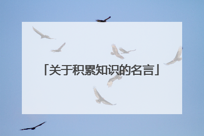 关于积累知识的名言