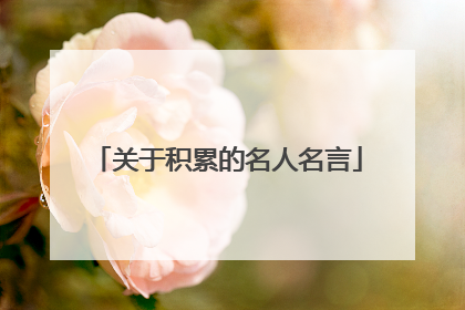 关于积累的名人名言