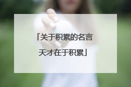 关于积累的名言 天才在于积累